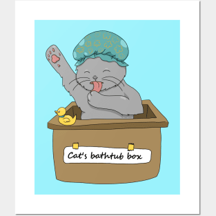 Cat's Bathtub Box Posters and Art